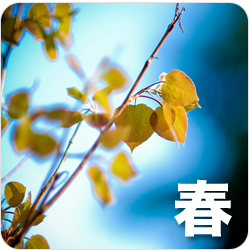 春